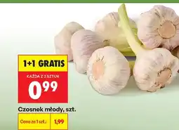 Biedronka Czosnek młody oferta