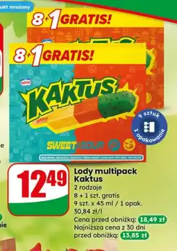 Dino Lody Kaktus oferta