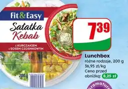 Dino Lunchbox Fit & Easy oferta