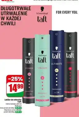 Dino Lakier do włosów Taft różne rodzaje oferta