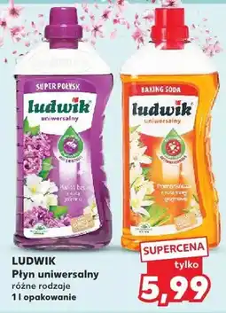 Kaufland Płyn uniwersalny różne rodzaje oferta