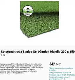 Biedronka Sztuczna trawa Sanico GoldGarden Irlandia 200 x 150 cm oferta