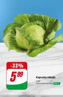 Dino Kapusta młoda 1 szt oferta
