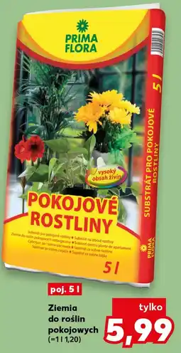 Kaufland Ziemia do roślin Prima flora oferta