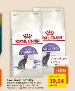 Maxi Zoo Karma dla kota Royal Canin oferta