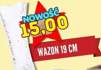 Wazon