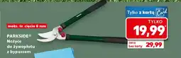 Kaufland Nożyce do żywołpłotu Parkside oferta