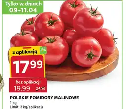 Stokrotka Express Pomidory oferta