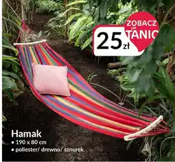 Agata Meble Hamak oferta