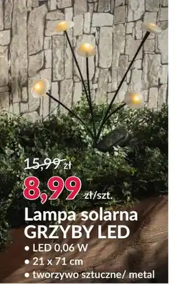 Agata Meble Lampa solarna oferta
