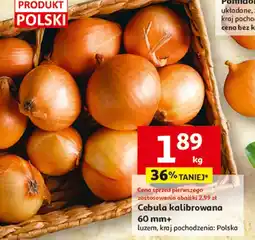 Auchan Cebula Polski oferta
