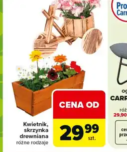 Carrefour Kwietnik, skrzynka drewniana oferta