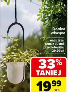 Carrefour Donica wisząca oferta