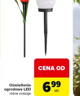 Carrefour Oświetlenie ogrodowe LED oferta