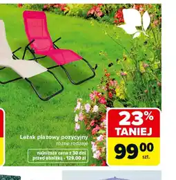 Carrefour Leżak plażowy pozycyjny oferta