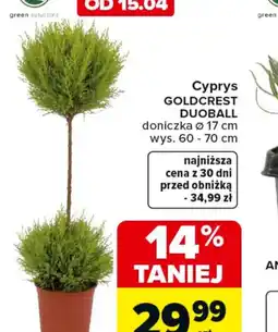 Carrefour Cyprys Goldcrest Duoball oferta