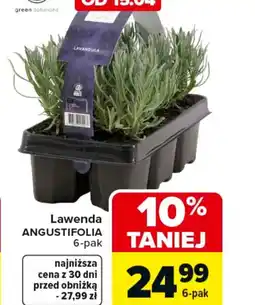 Carrefour Lawenda ANGUSTIFOLIA oferta