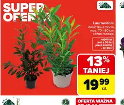 Carrefour Laurowiśnia oferta
