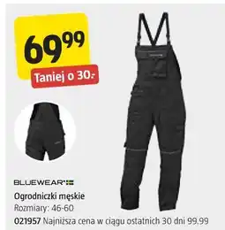 Jula Ogrodniczki męskie oferta
