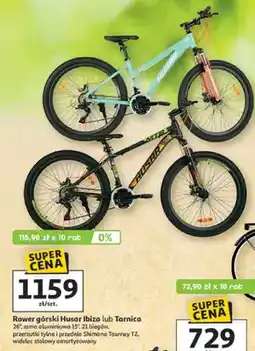 Auchan Rower górski Tarnica oferta
