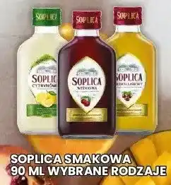 Wafelek Nalewka smakowa 90 ml wybrane rodzaje oferta