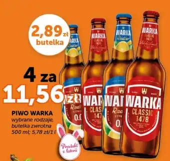 Groszek Piwo warka oferta