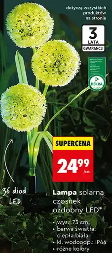 Biedronka Lampa solarna czosnek ozdobny LED* gardenic oferta