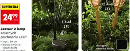 Biedronka Zestaw 2 lamp solarnych pochodnie LED* gardenic oferta