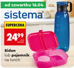 Biedronka Bidon lub pojemnik na lunch sistema oferta