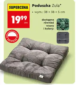 Biedronka Poduszka Zula oferta