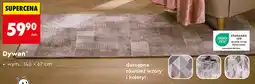 Biedronka Dywan oferta