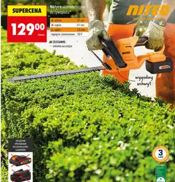 Biedronka Nożyce akumulatorowe do żywopłotu NITEO oferta