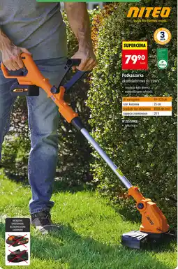 Biedronka Niteo Podkaszarka akumulatorowa do trawy oferta