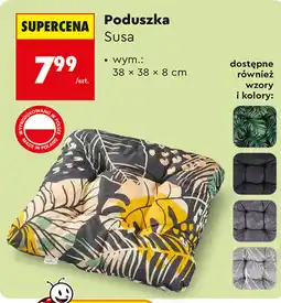 Biedronka Poduszka Susa oferta