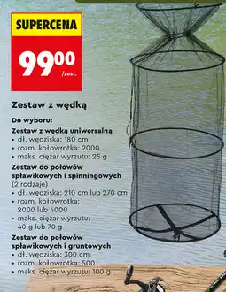 Biedronka PALADIN Zestaw z wędką oferta