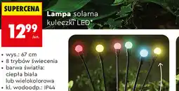 Biedronka Lampa solarna kuleczki LED* gardenic oferta