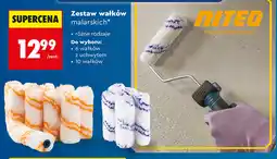 Biedronka Zestaw wałków malarskich oferta