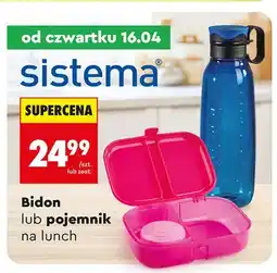 Biedronka Bidon lub pojemnik na lunch oferta