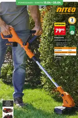 Biedronka Podkaszarka akumulatorowa do trawy oferta