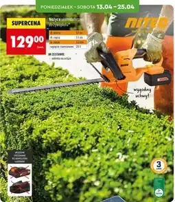 Biedronka Nożyce akumulatorowe do żywopłotu oferta