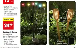 Biedronka Zestaw 2 lamp solarnych pochodnie LED oferta
