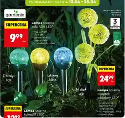 Biedronka Lampa solarna kuleczki LED oferta