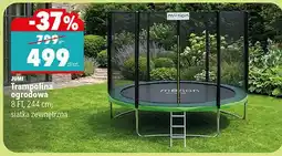 Biedronka Trampolina ogrodowa 8 FT, 244 cm, siatka zewnętrzna oferta