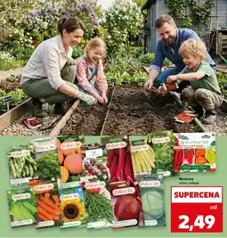 Kaufland Nasiona oferta