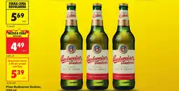 Biedronka Piwo Budweiser Budvar oferta