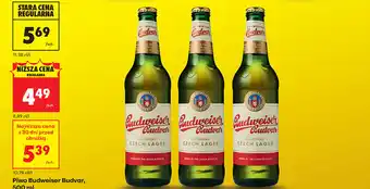 Piwo Budweiser Budvar
