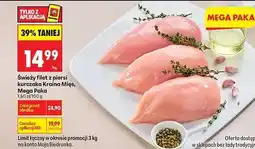 Biedronka Filet z piersi kurczaka oferta