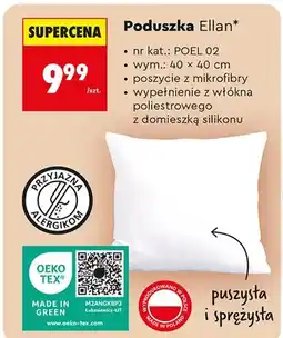 Biedronka Poduszka Ellan 40 x 40 cm oferta