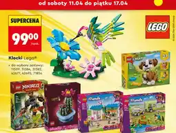 Biedronka Klocki różne zestawy (Ninjago, Friends, Creator, Botanical) oferta