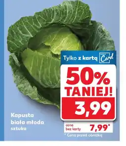 Kaufland Kapusta biała młoda oferta